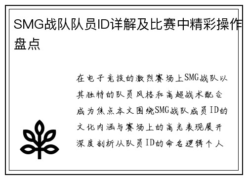 SMG战队队员ID详解及比赛中精彩操作盘点
